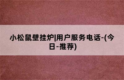 小松鼠壁挂炉|用户服务电话-(今日-推荐)